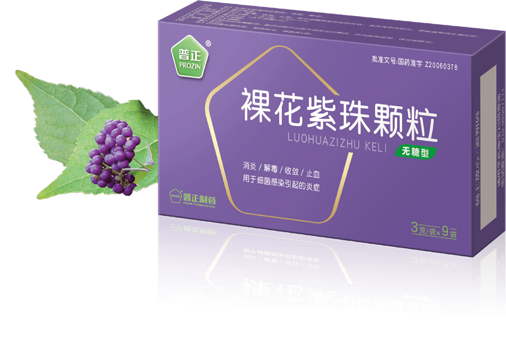 裸花紫珠颗粒
